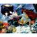 Stunning Wall Art Prints, Toowoomba, Australia
