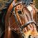 Cowboy Art by Australian Artist Ben Hoole