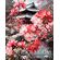 Stunning Floral Wall Art Print, Australia