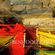 By Wall Art Direct From the Artist - Australia